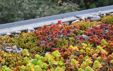 the cost of Portballintrae green roof installation