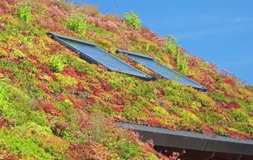 Portballintrae living roof systems